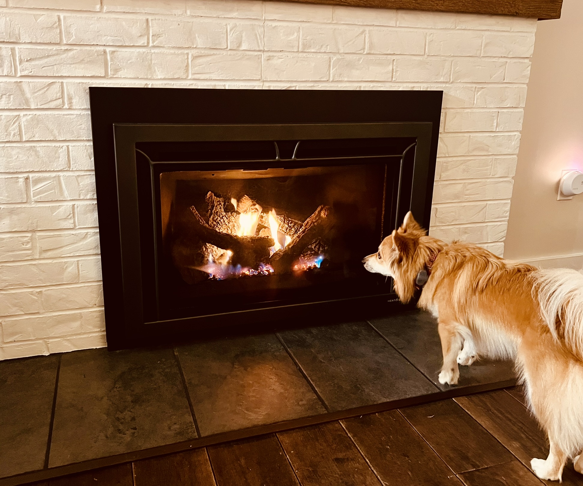 Traditional gas fireplace insert with realistic logs